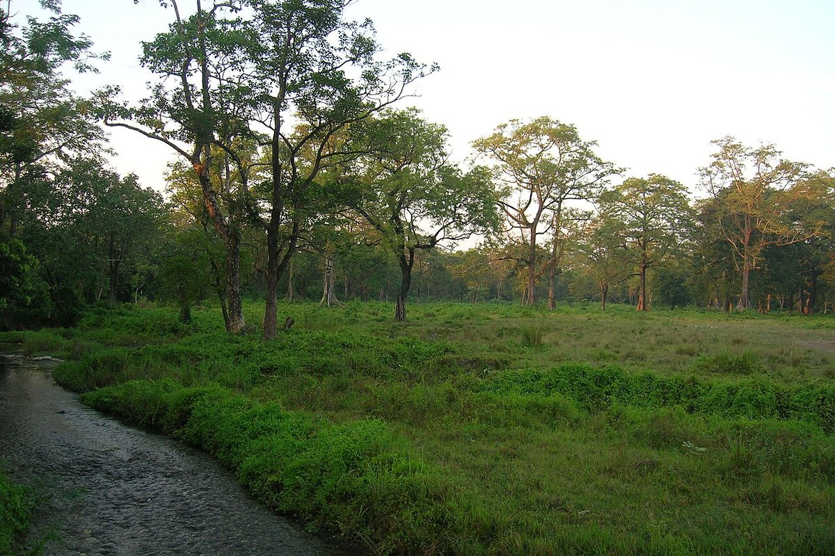 Alipurduar — weekend trip starting point