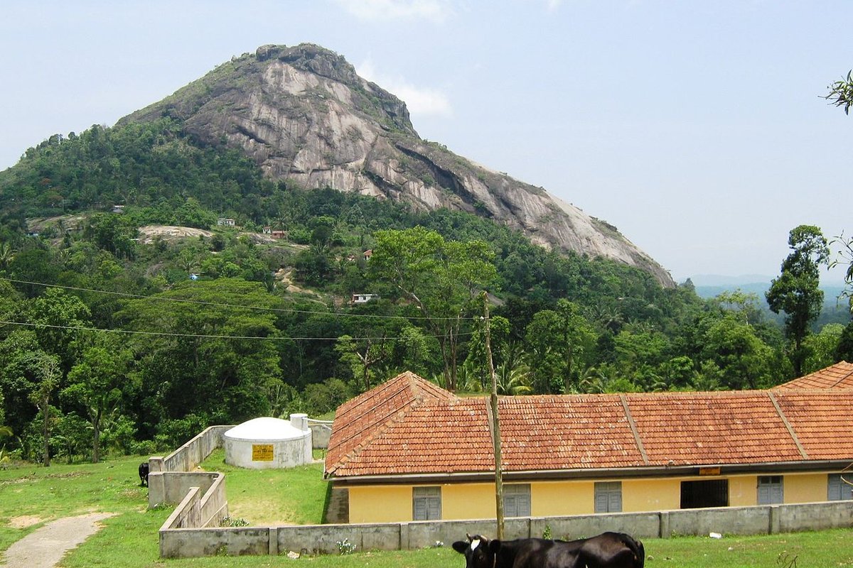 Ambalavayal travel guide