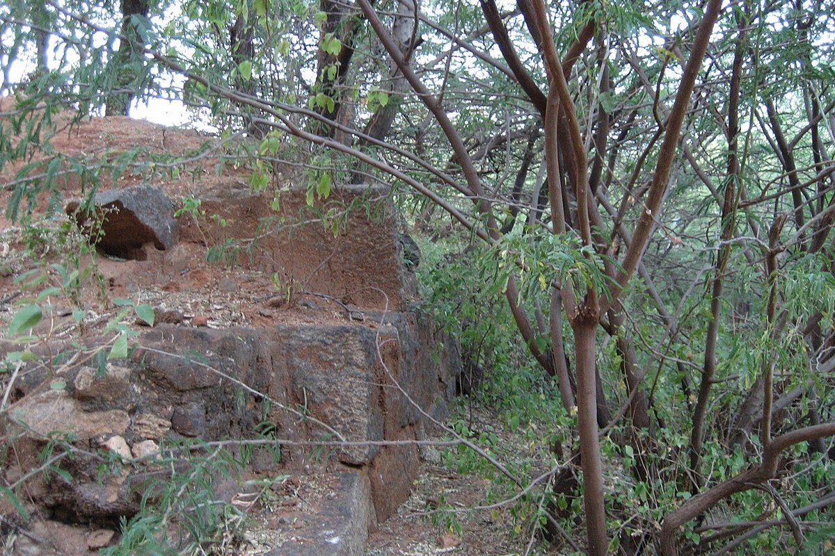 Aralvaimozhi Travel Guide: Things to Do, How to Reach, Best Time to Visit hero image