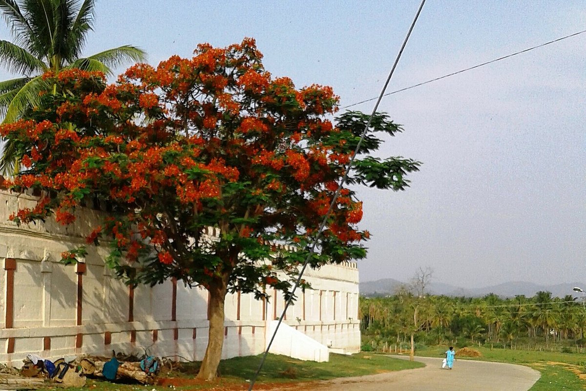 Arasikere travel guide