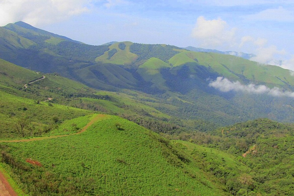 Baba Budangiri - India Travel Guide hero image