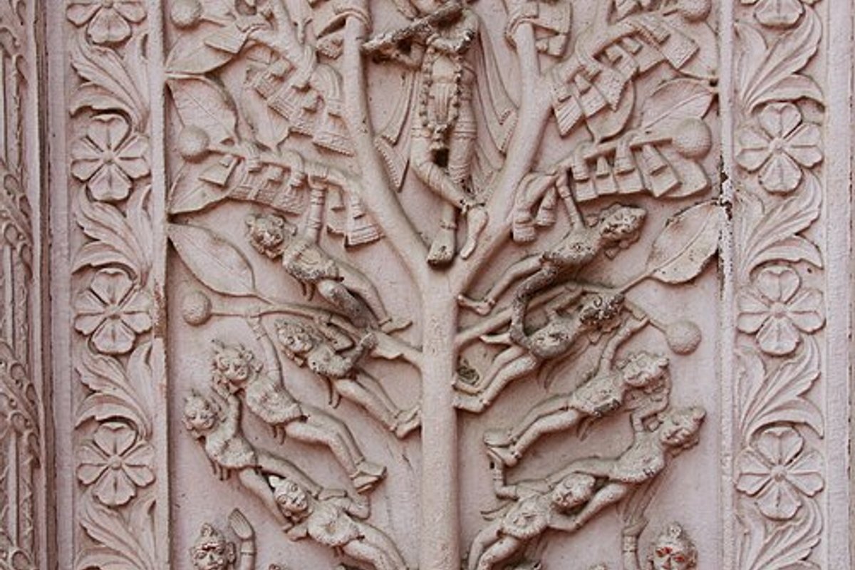 Balrampur Travel Guide: Things to Do, How to Reach, Best Time to Visit hero image