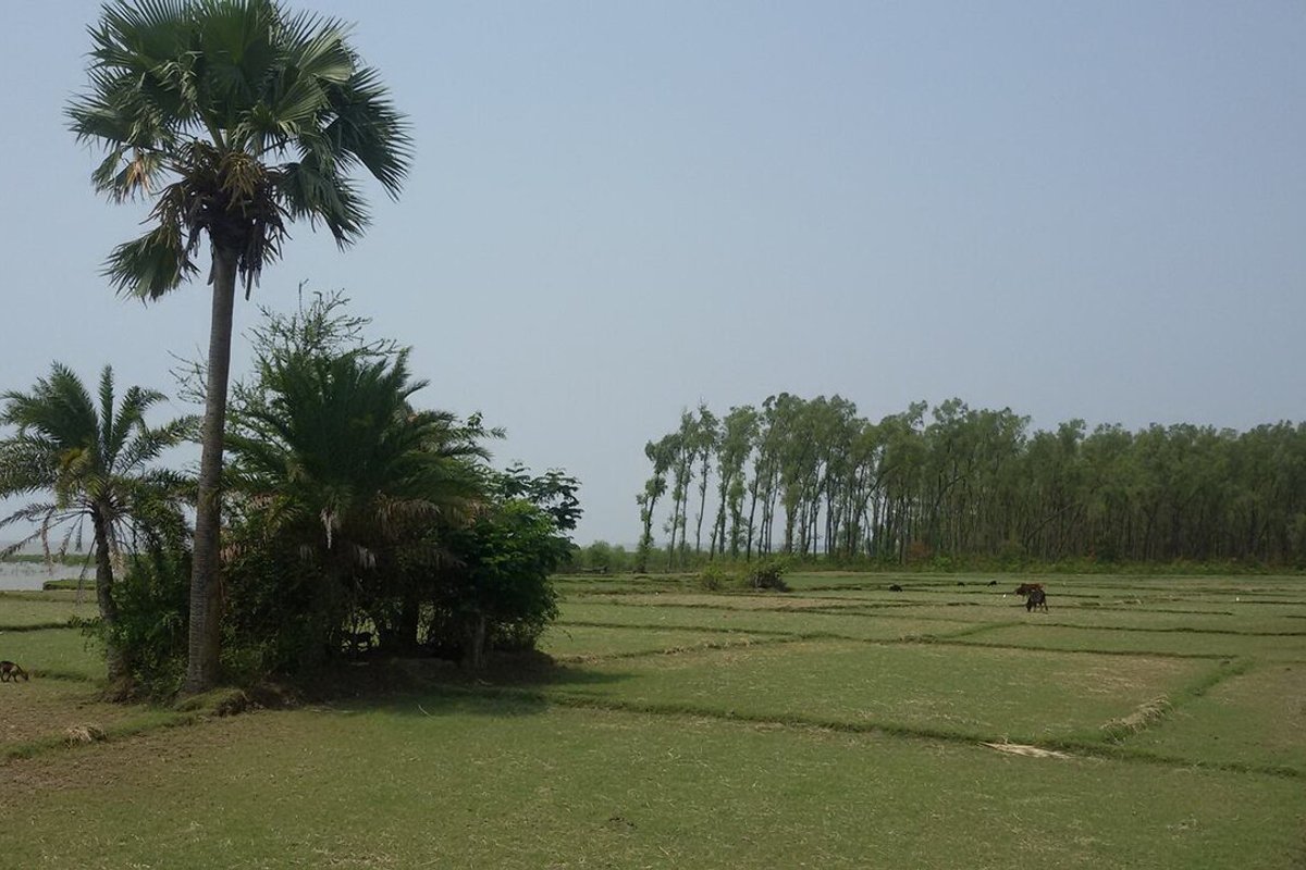 Barguna — weekend trip starting point