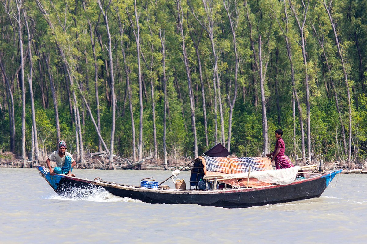 Barguna Travel Guide: Things to Do, How to Reach, Best Time to Visit hero image