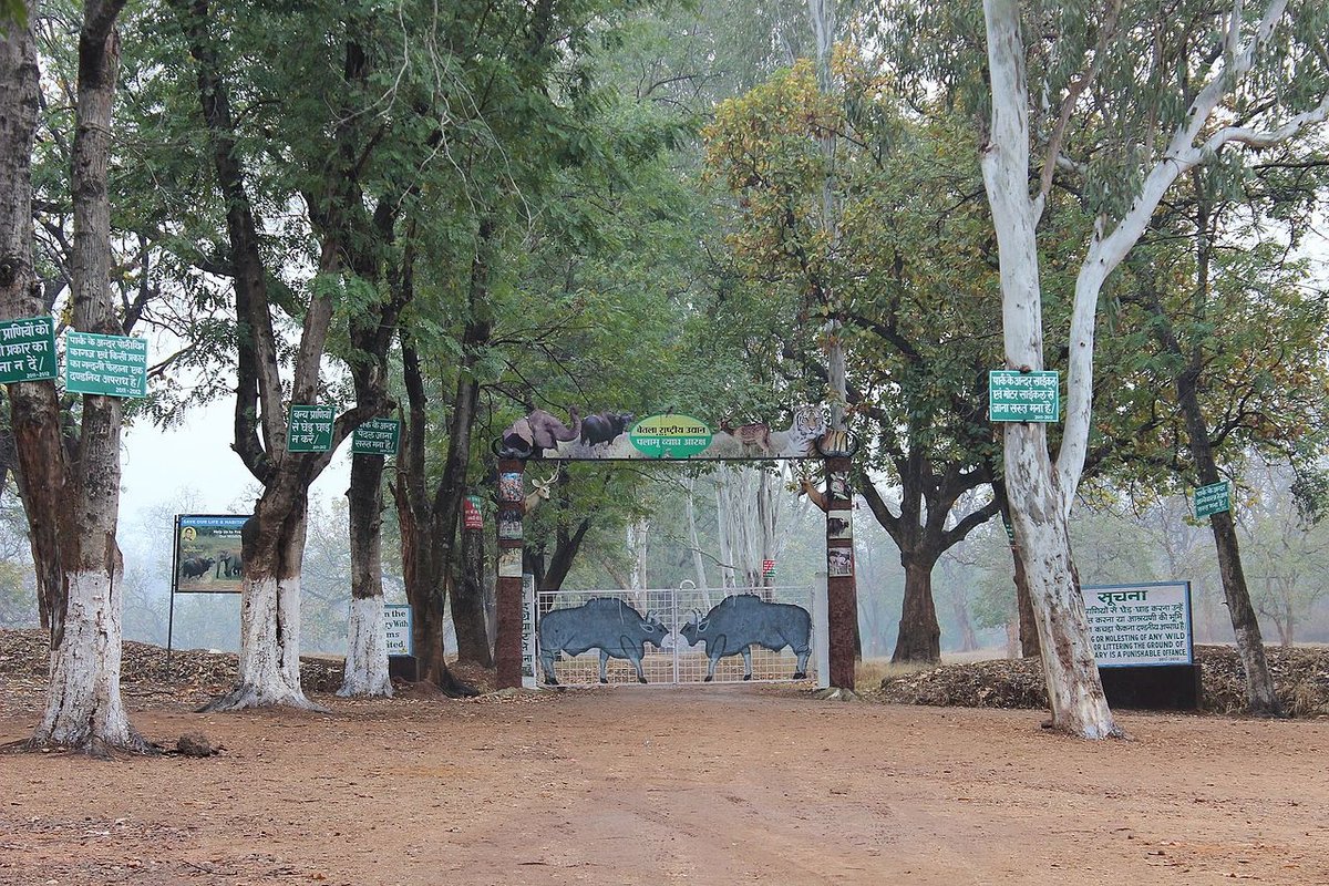 Betla - India Travel Guide hero image