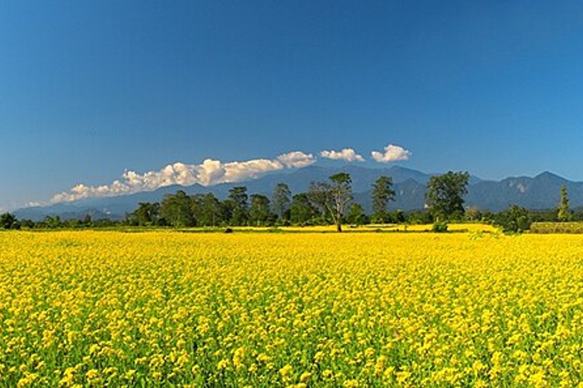 Bhalukpong - India Travel Guide hero image