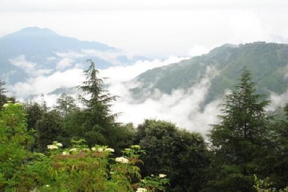 Chail travel guide