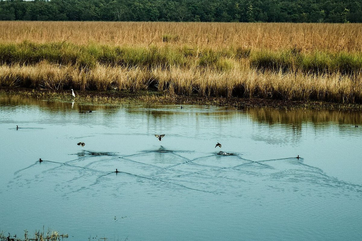 Dudhwa - India Travel Guide hero image