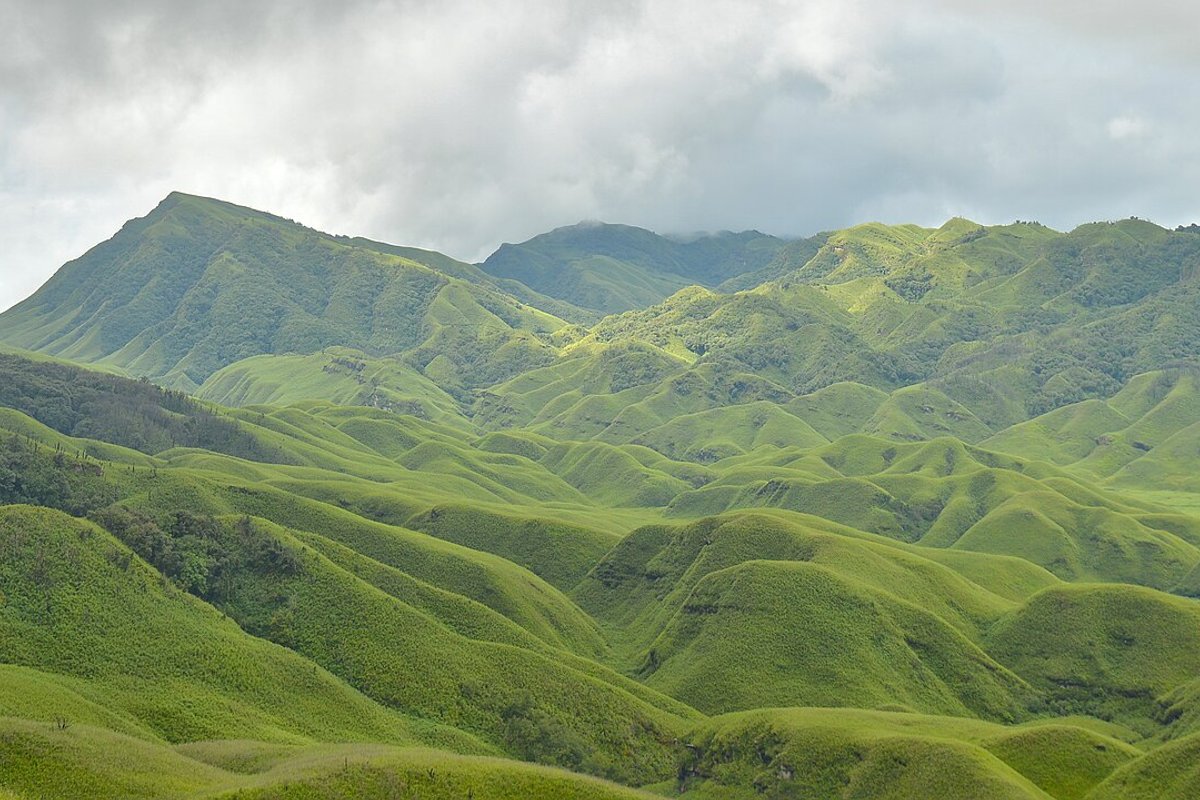 Dzukou Valley travel guide