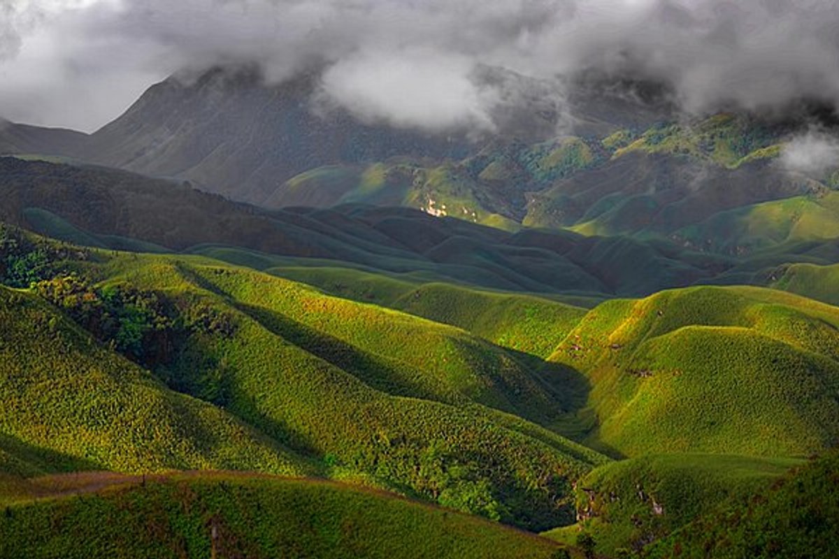 Dzukou Valley - India Travel Guide hero image