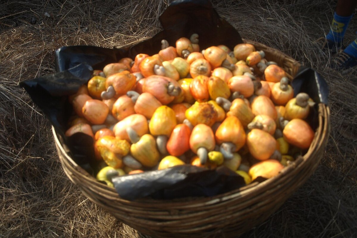 Feni — weekend trip starting point