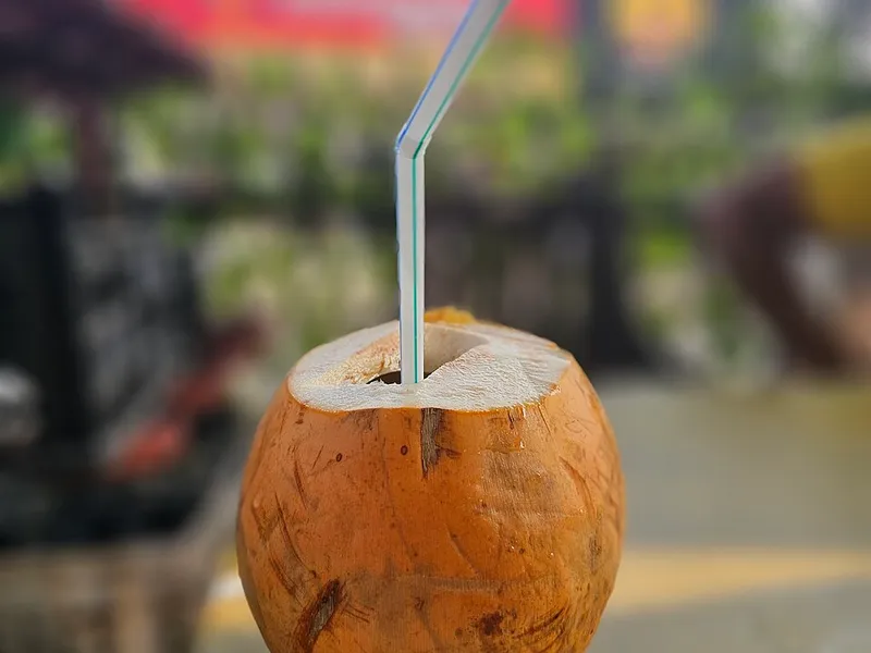 Coconut Water - Traditional Indian Dish
