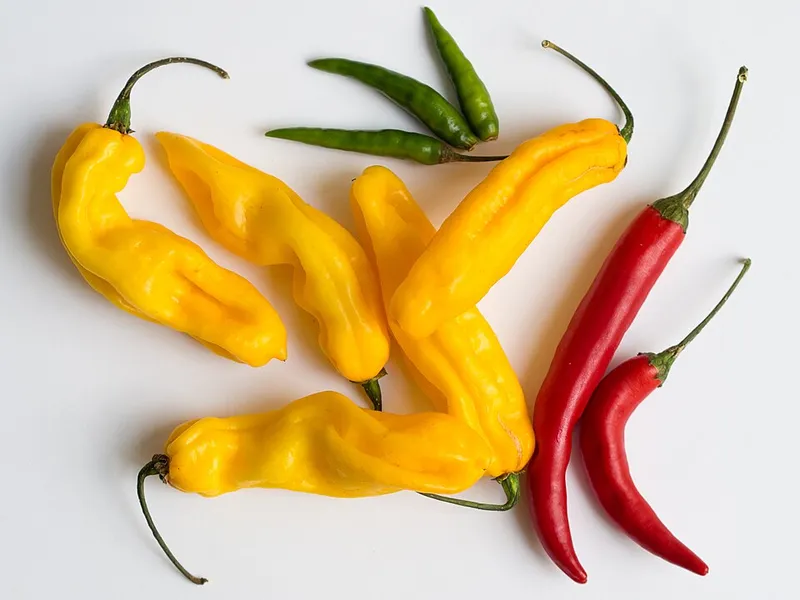 Guntur Chilli Chicken - Traditional Indian Dish