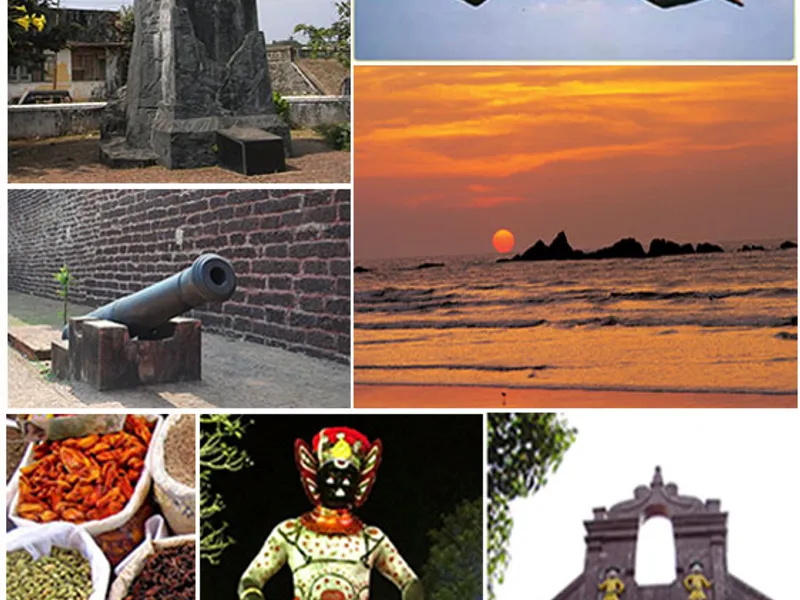 Mahe Biryani - Traditional Indian Dish