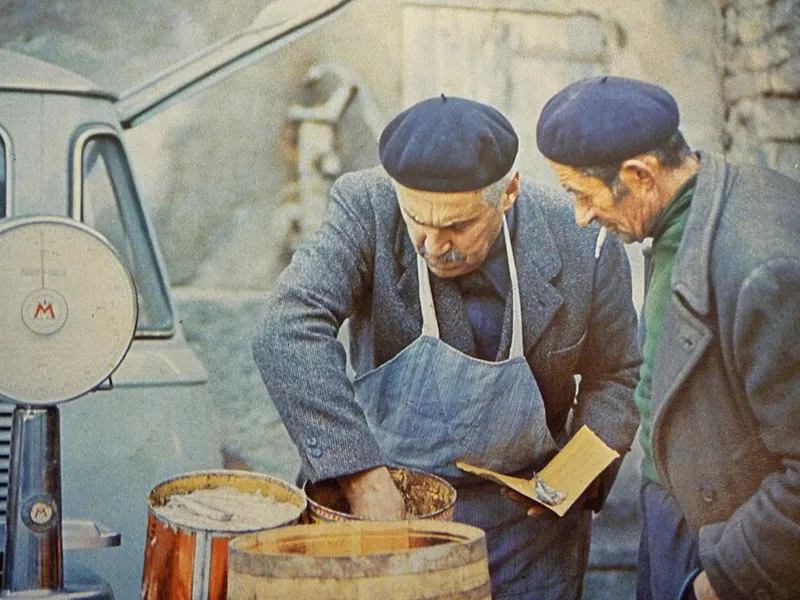 Nethili Fry - Traditional Indian Dish