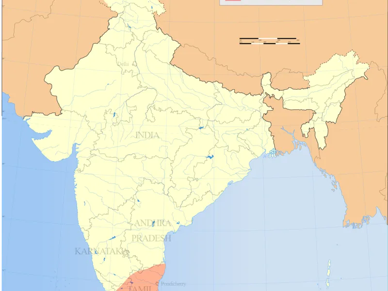 Nethili Meen Kuzhambu - Traditional Indian Dish