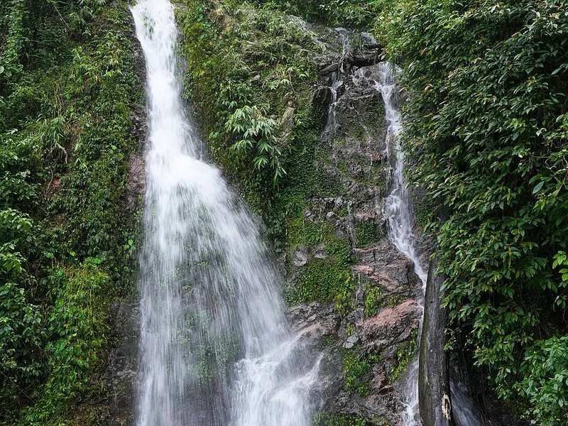 Wak Pura - Traditional Indian Dish