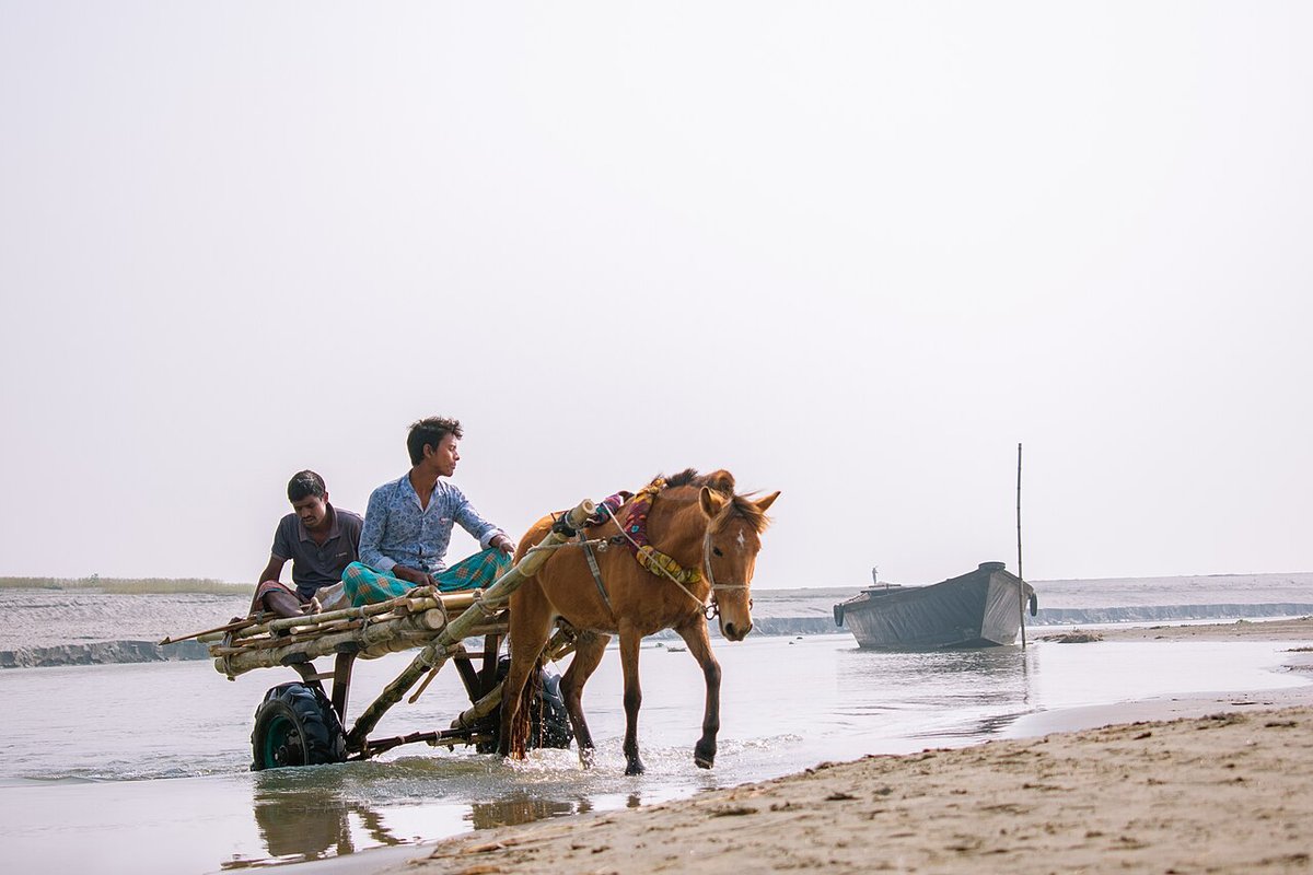 Gaibandha Travel Guide: Things to Do, How to Reach, Best Time to Visit hero image