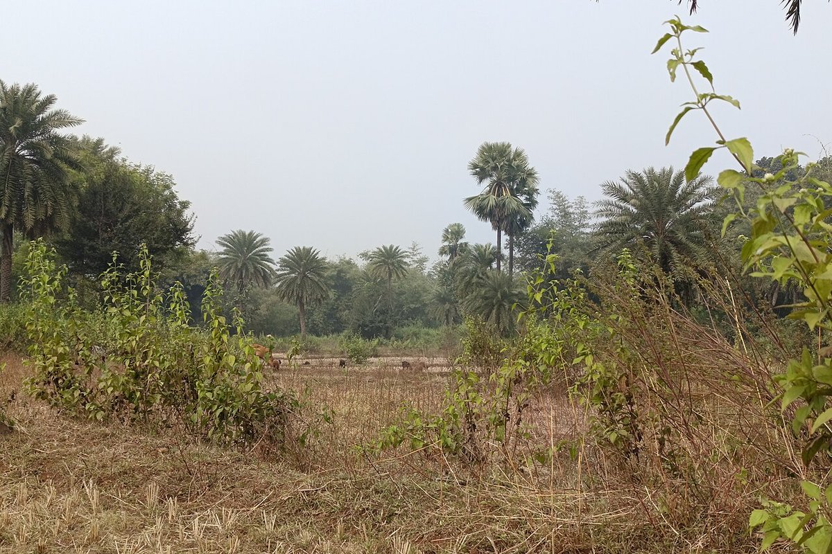 Gumla — weekend trip starting point