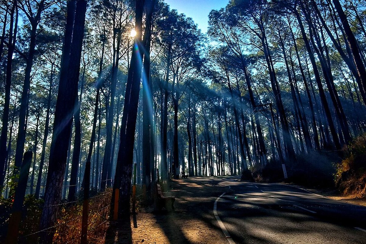 Hamirpur - India Travel Guide hero image