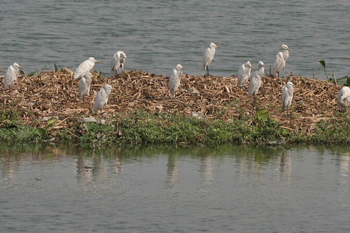 Hessarghatta - India Travel Guide hero image