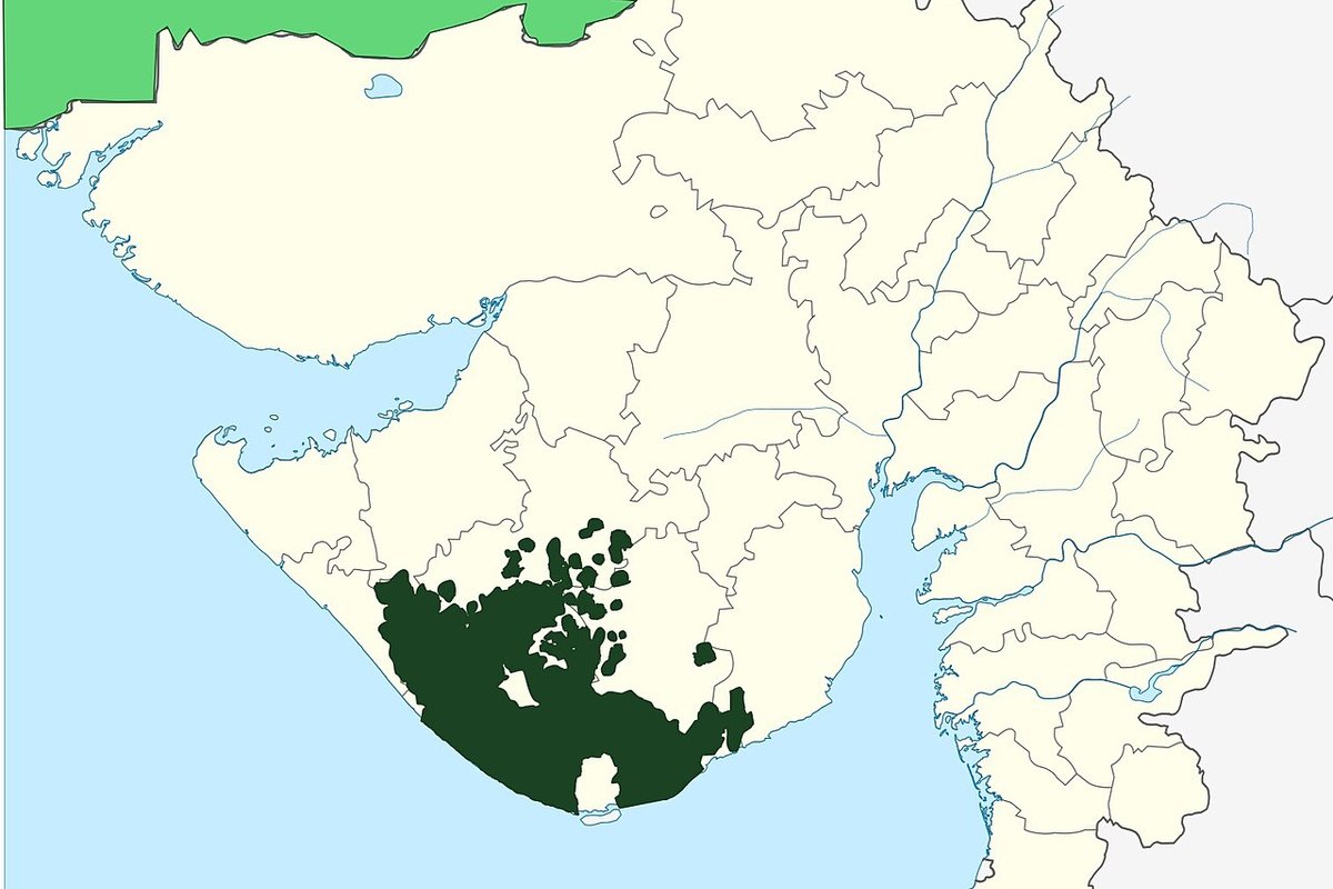 Junagadh travel guide