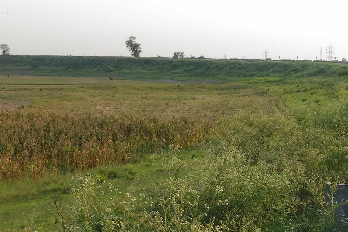 Katihar Travel Guide: Things to Do, How to Reach, Best Time to Visit hero image