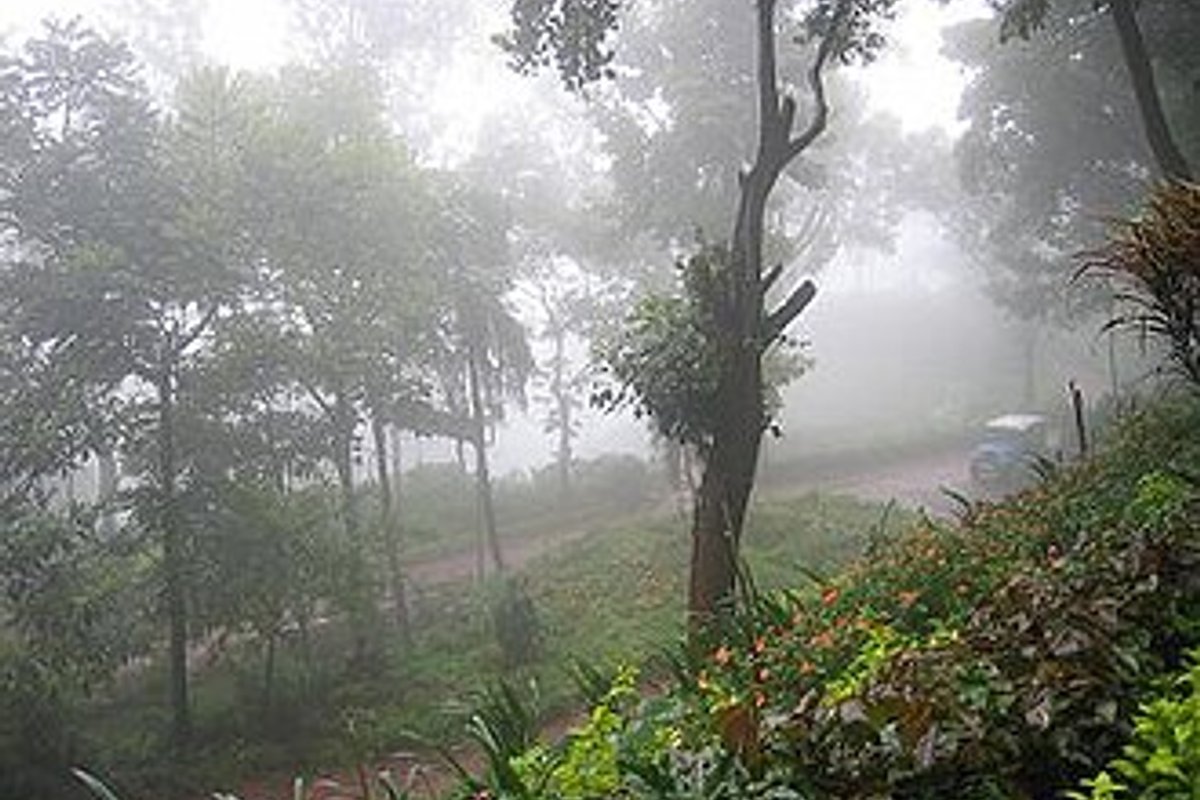 Kemmangundi travel guide