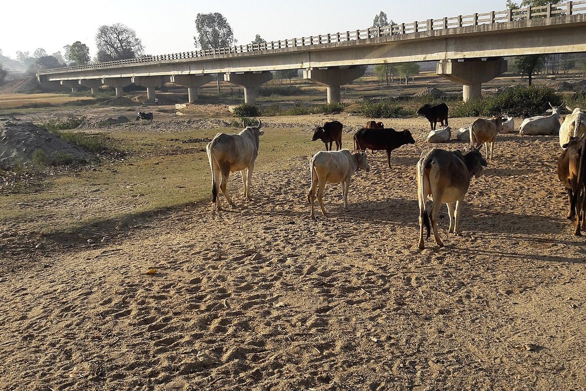 Koderma travel guide