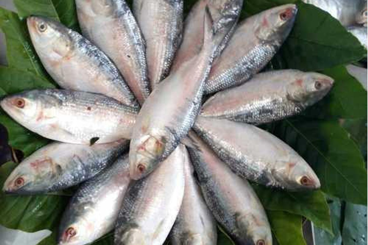 Kolaghat West Bengal — weekend trip starting point