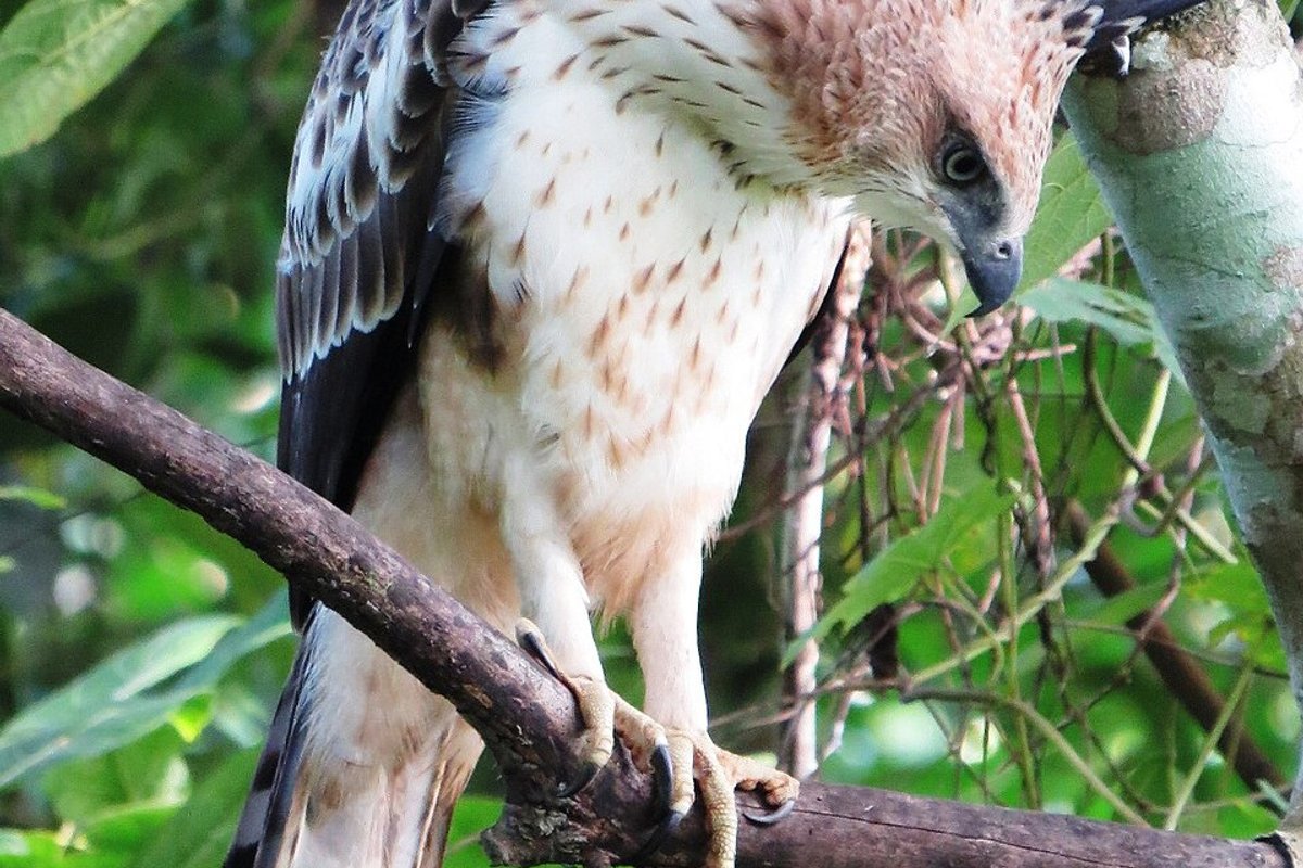 Kondazhy travel guide