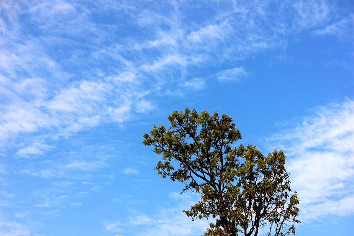 Mainpat travel guide