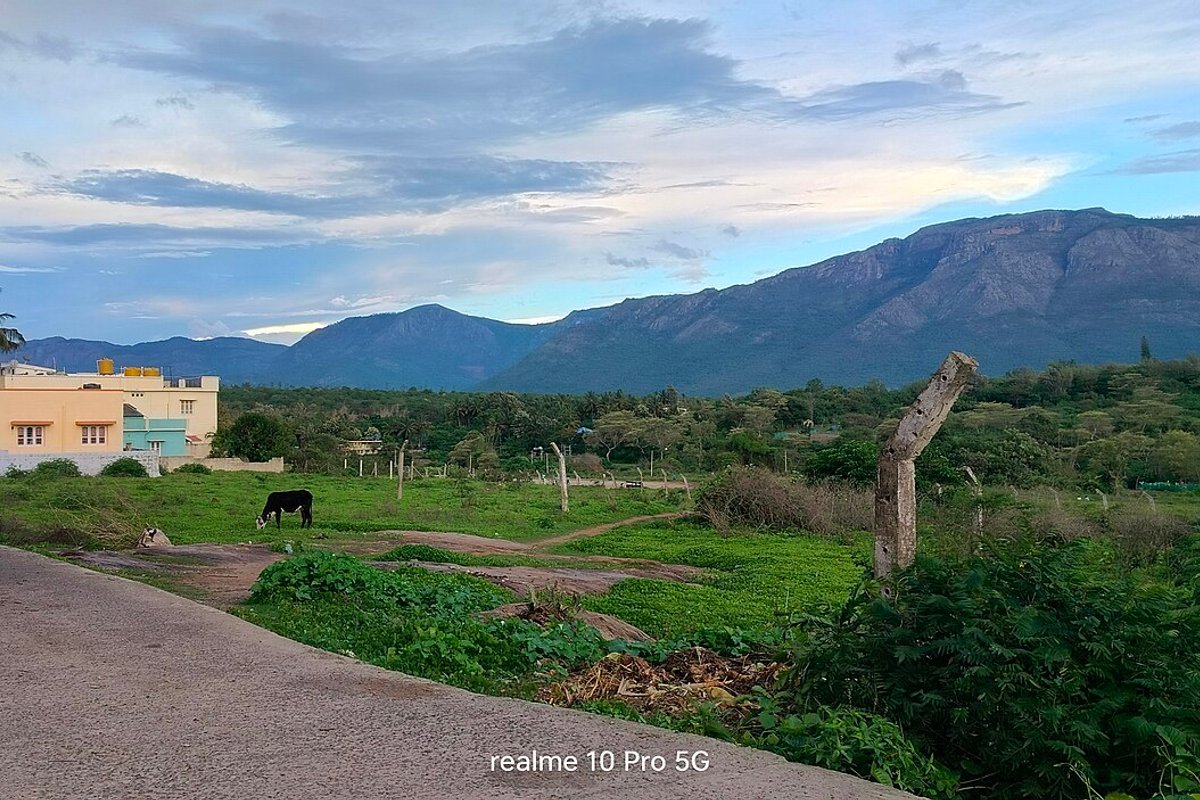 Masinagudi travel guide