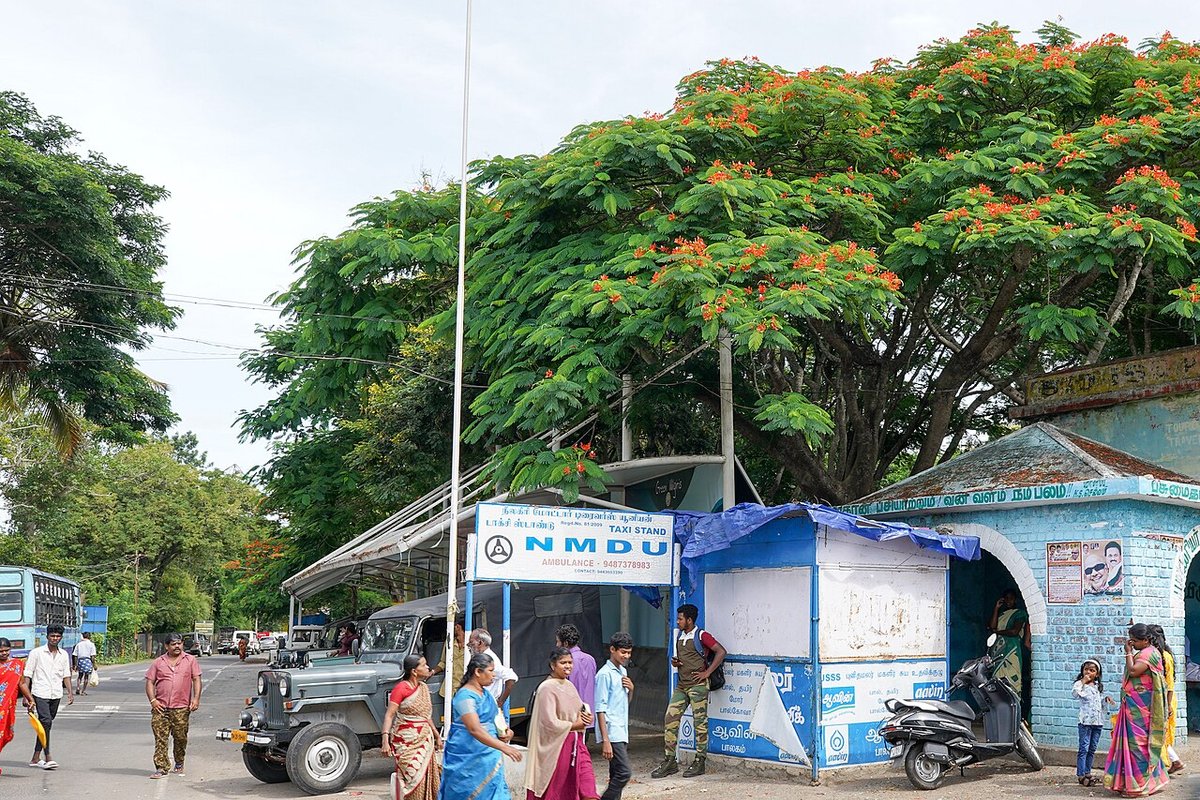 Masinagudi - India Travel Guide hero image