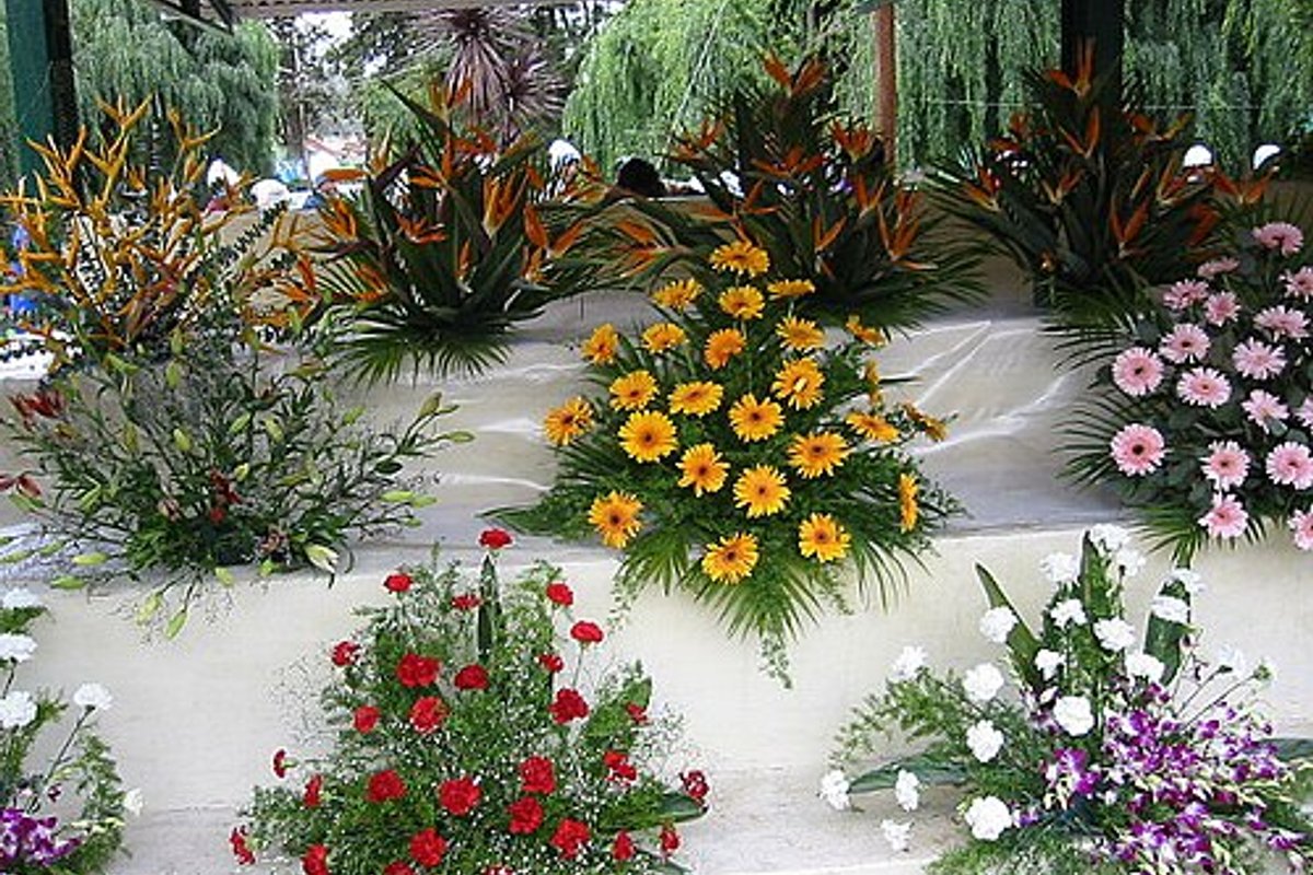 Mudumalai - India Travel Guide hero image