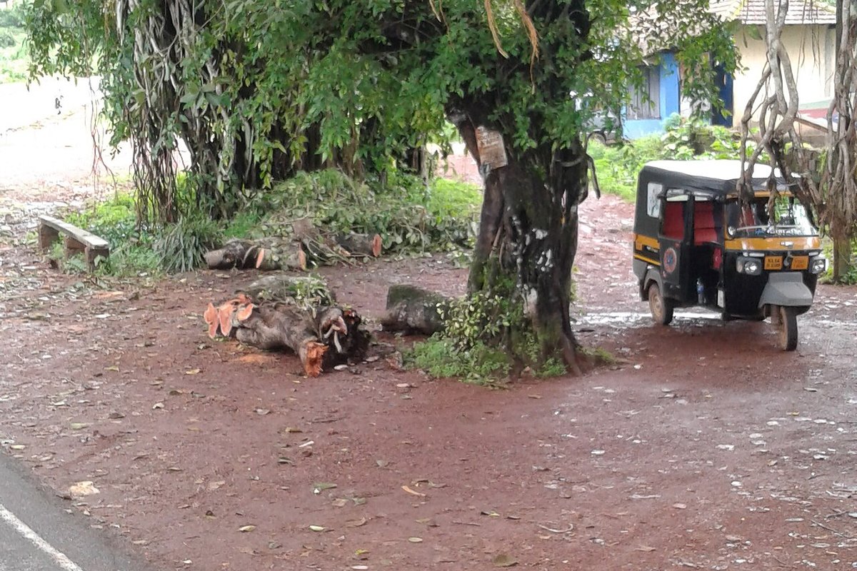 Muliyar travel guide