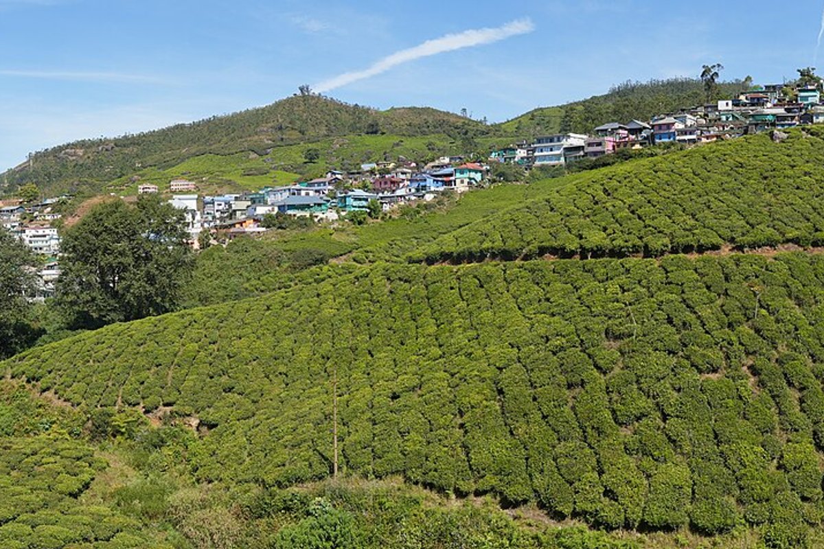 Munnar - India Travel Guide hero image