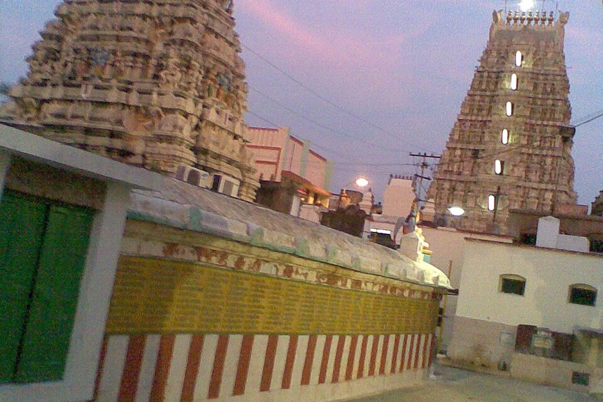 Nellore Travel Guide: Things to Do, How to Reach, Best Time to Visit travel guide