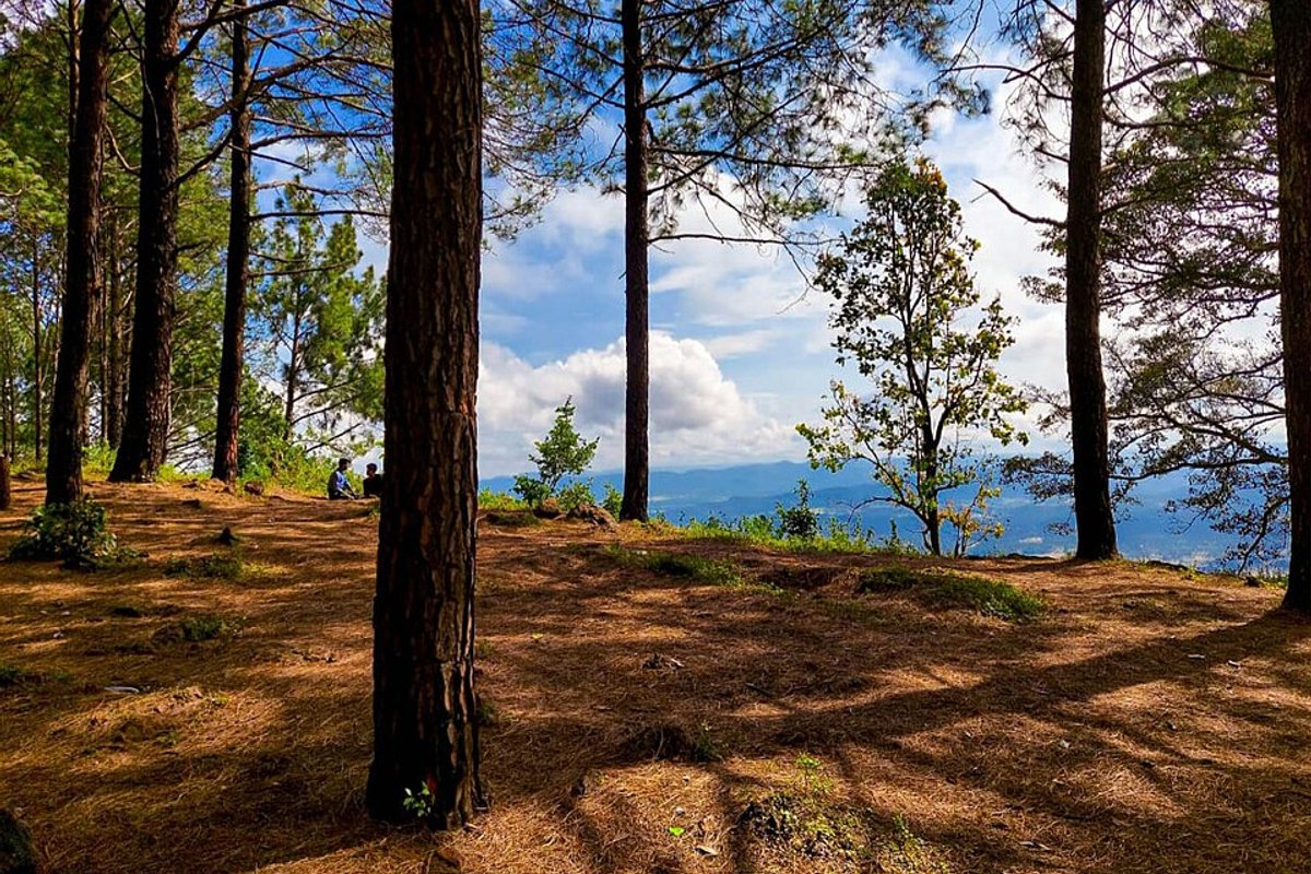 Netarhat - India Travel Guide hero image