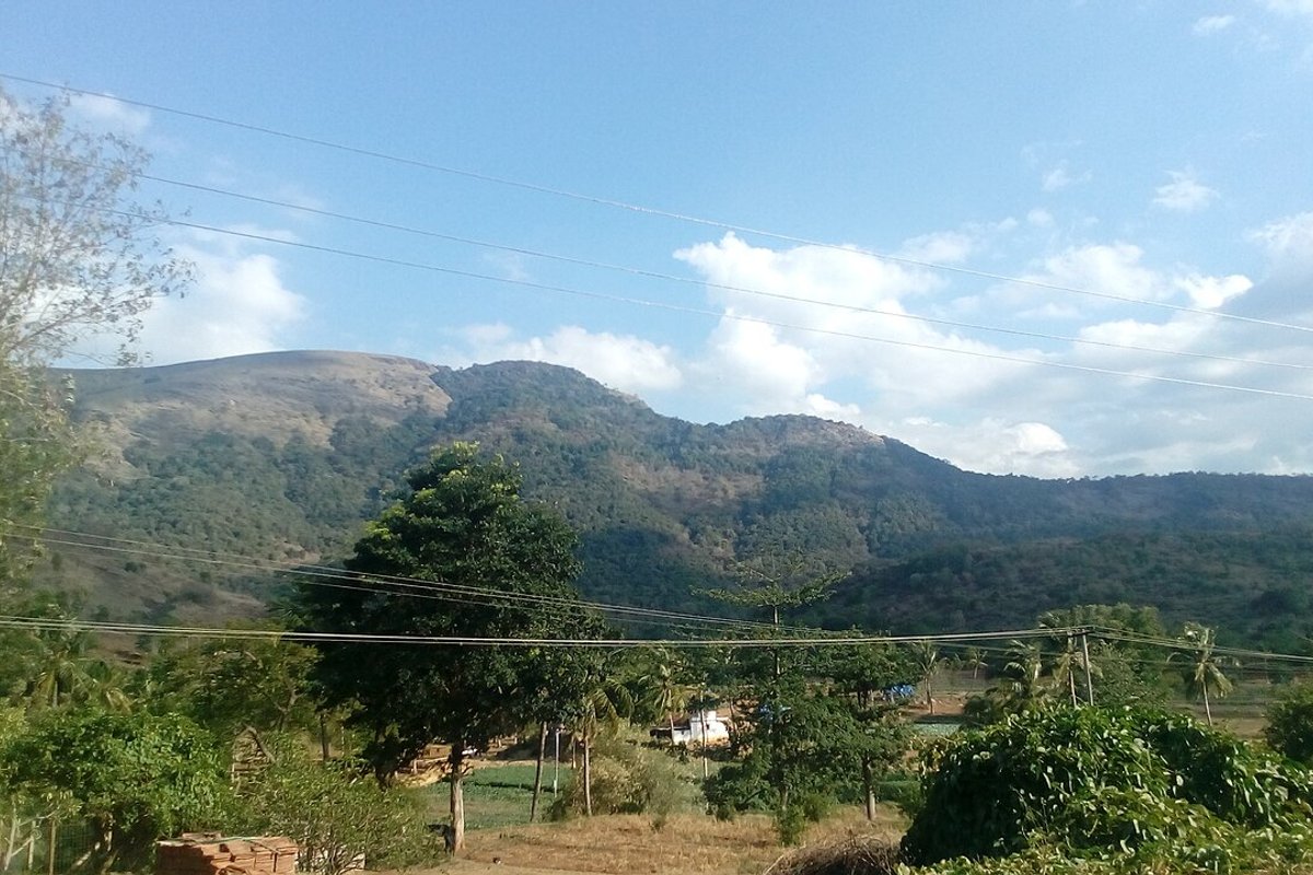 Oddanchatram Travel Guide: Things to Do, How to Reach, Best Time to Visit travel guide