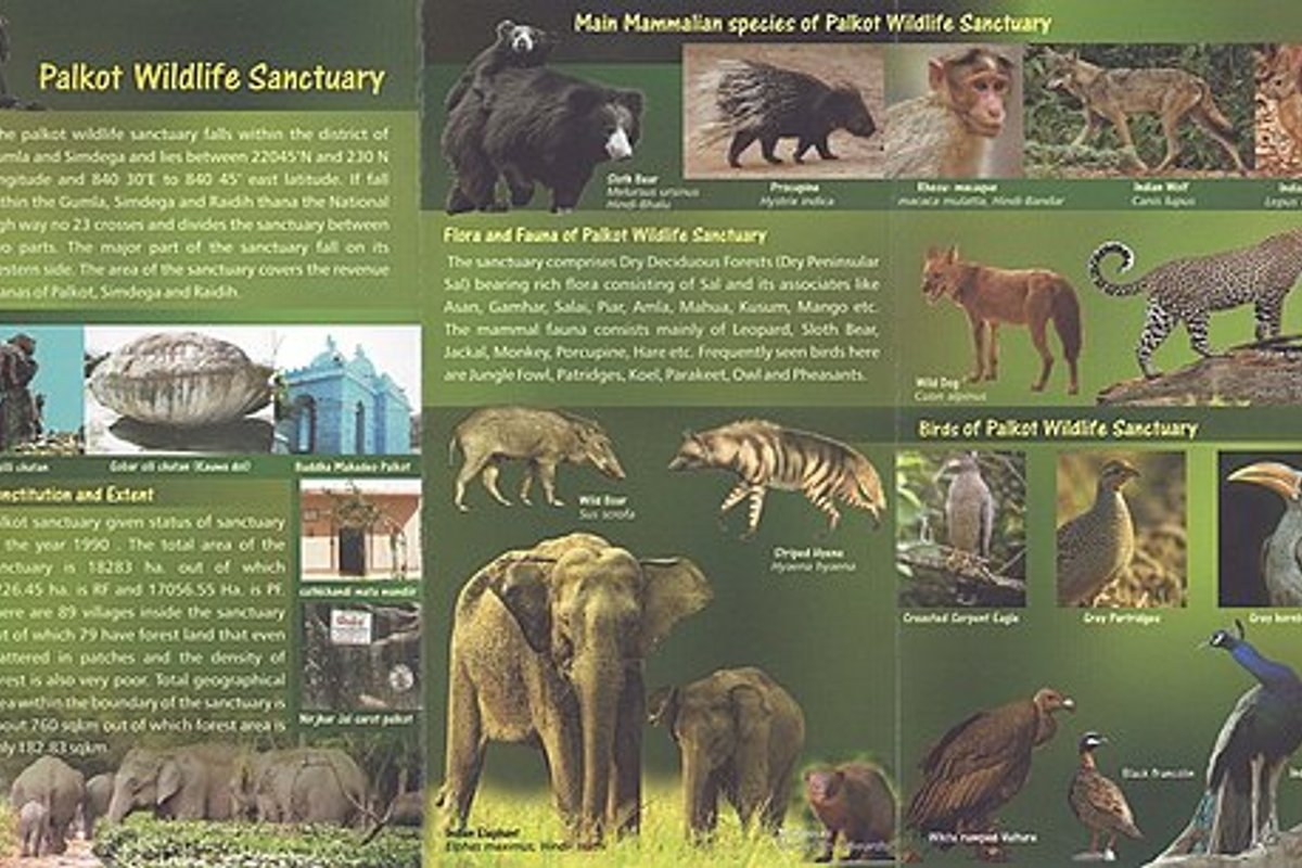 Palkot Travel Guide: Things to Do, How to Reach, Best Time to Visit travel guide