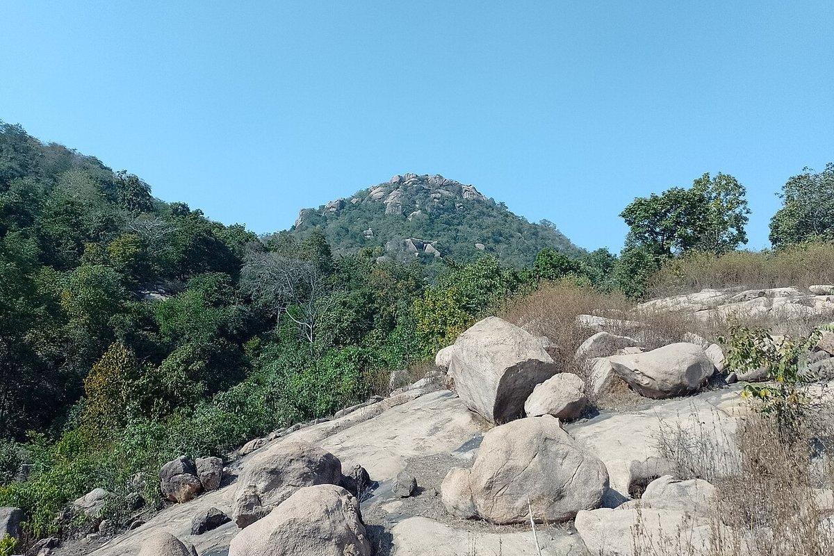 Palkot Travel Guide: Things to Do, How to Reach, Best Time to Visit hero image