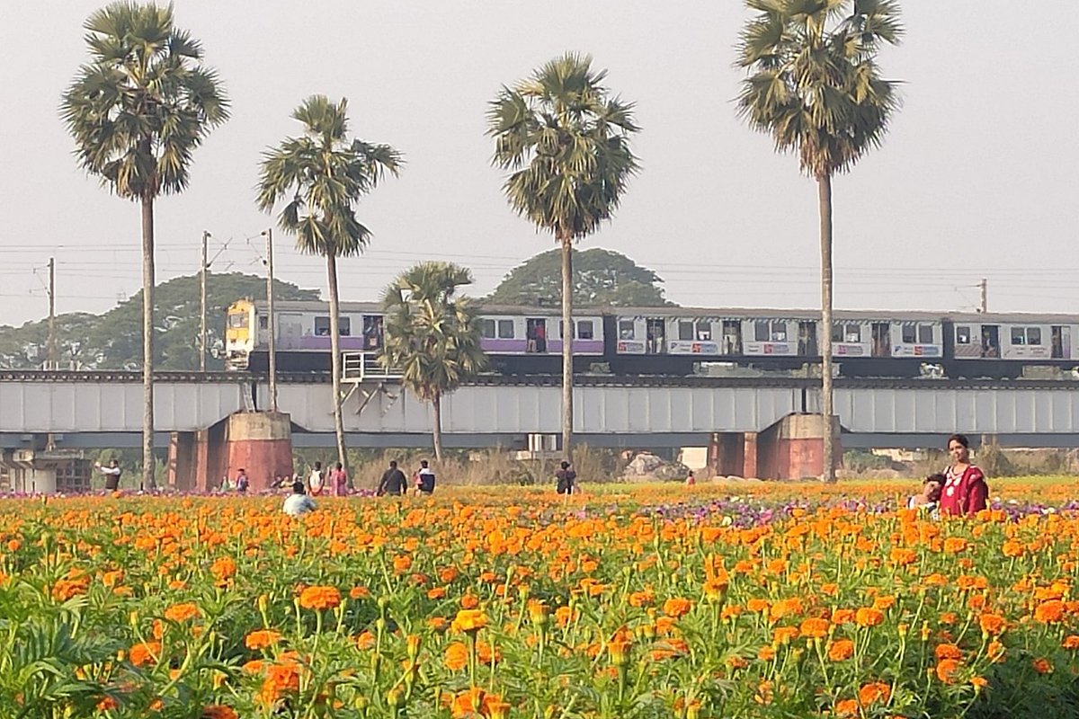 Panskura Travel Guide: Things to Do, How to Reach, Best Time to Visit travel guide