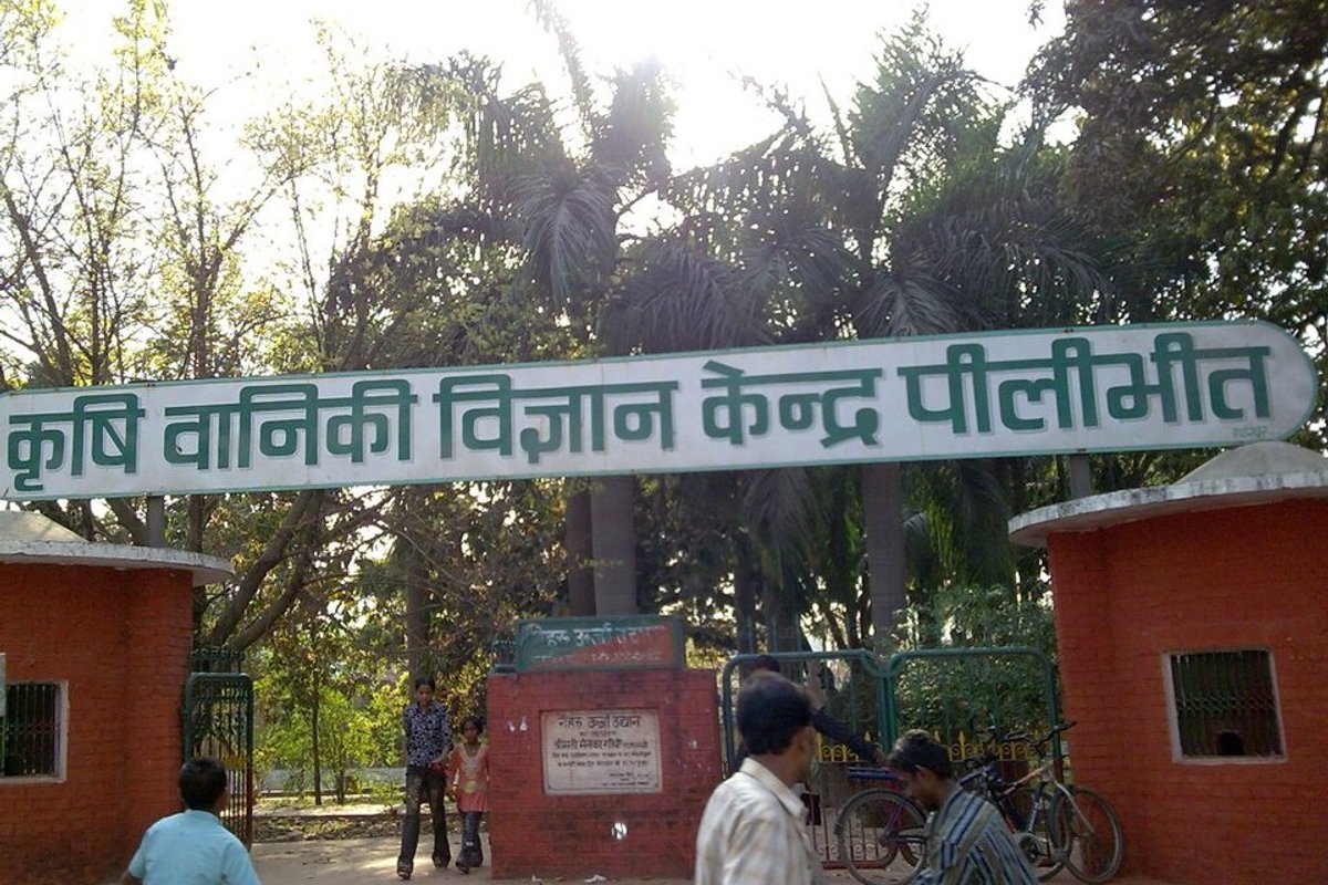 Pilibhit travel guide