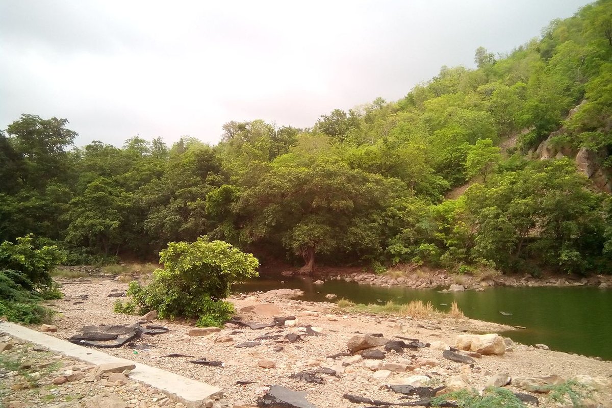 Polo Forest travel guide