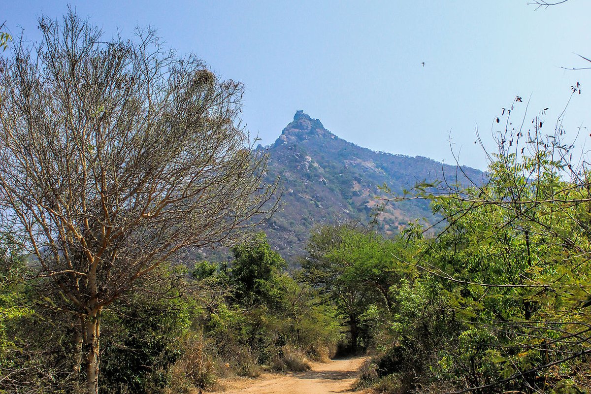 Polur Travel Guide: Things to Do, How to Reach, Best Time to Visit travel guide