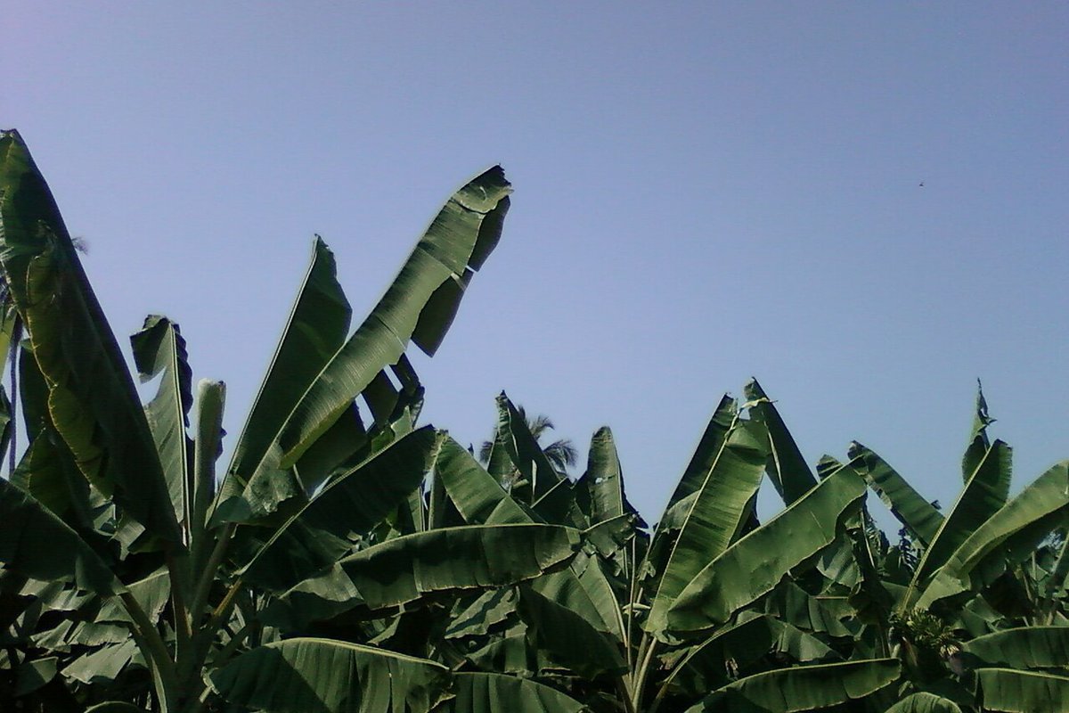 Ravulapalem — weekend trip starting point