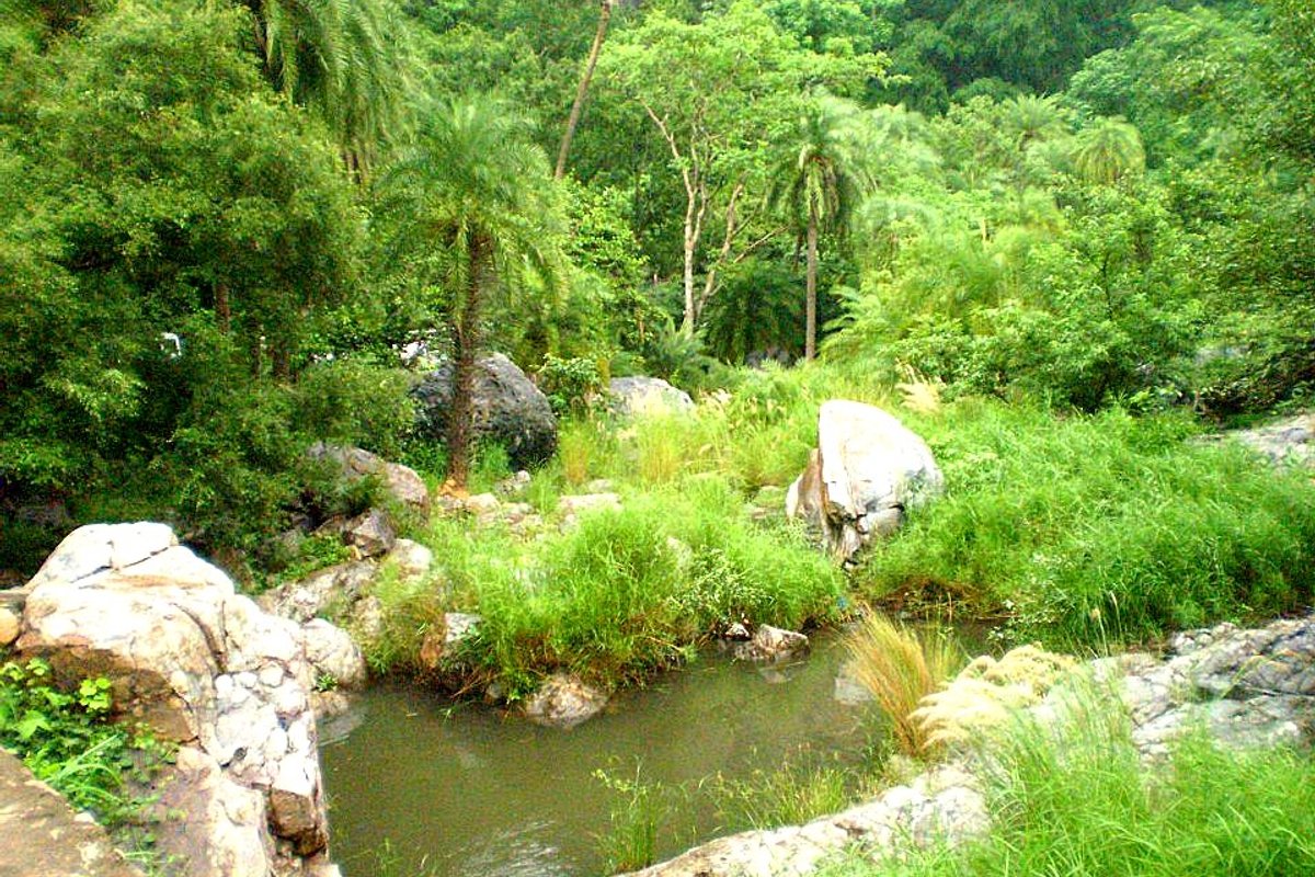 Sariska - India Travel Guide hero image