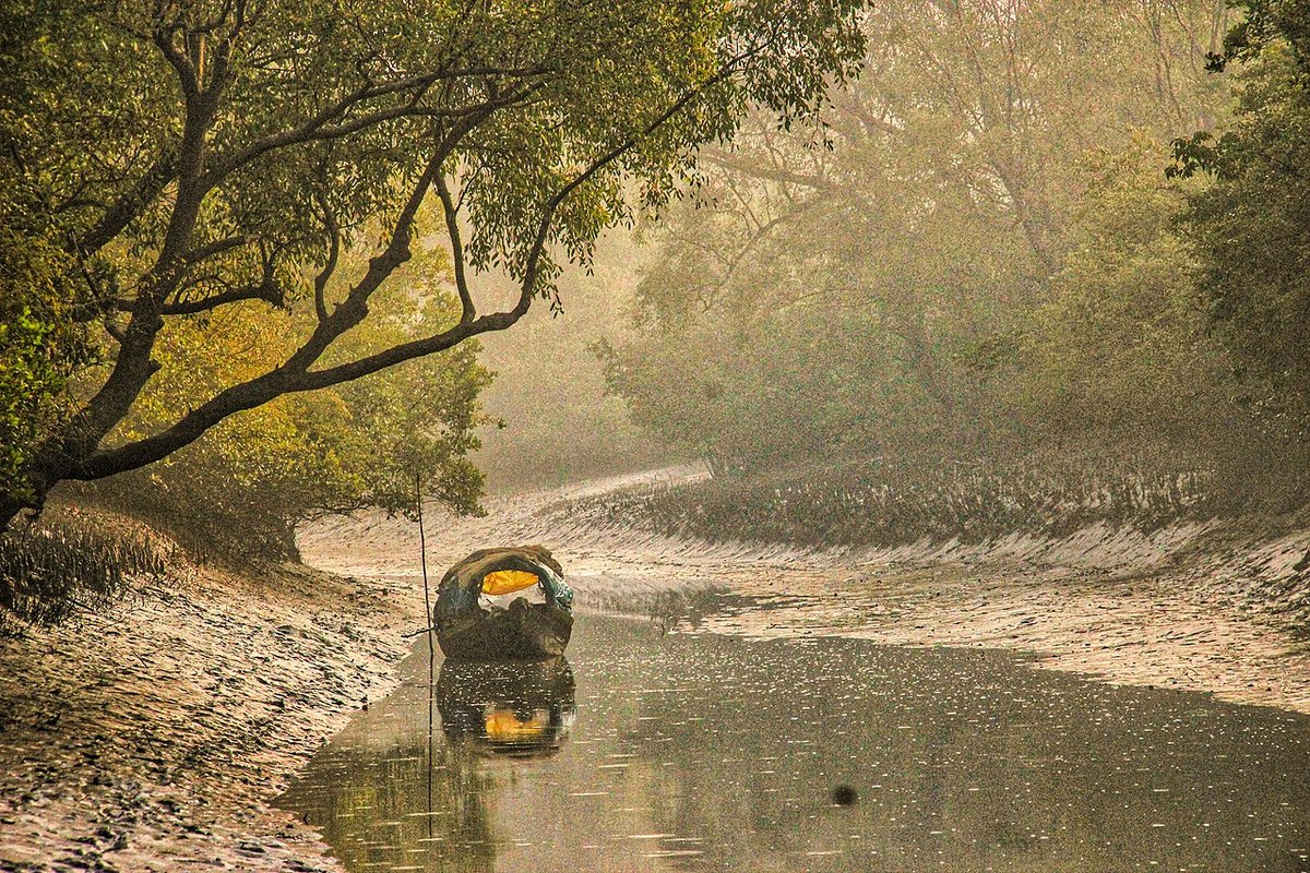 Sundarban Travel Guide: Things to Do, How to Reach, Best Time to Visit travel guide