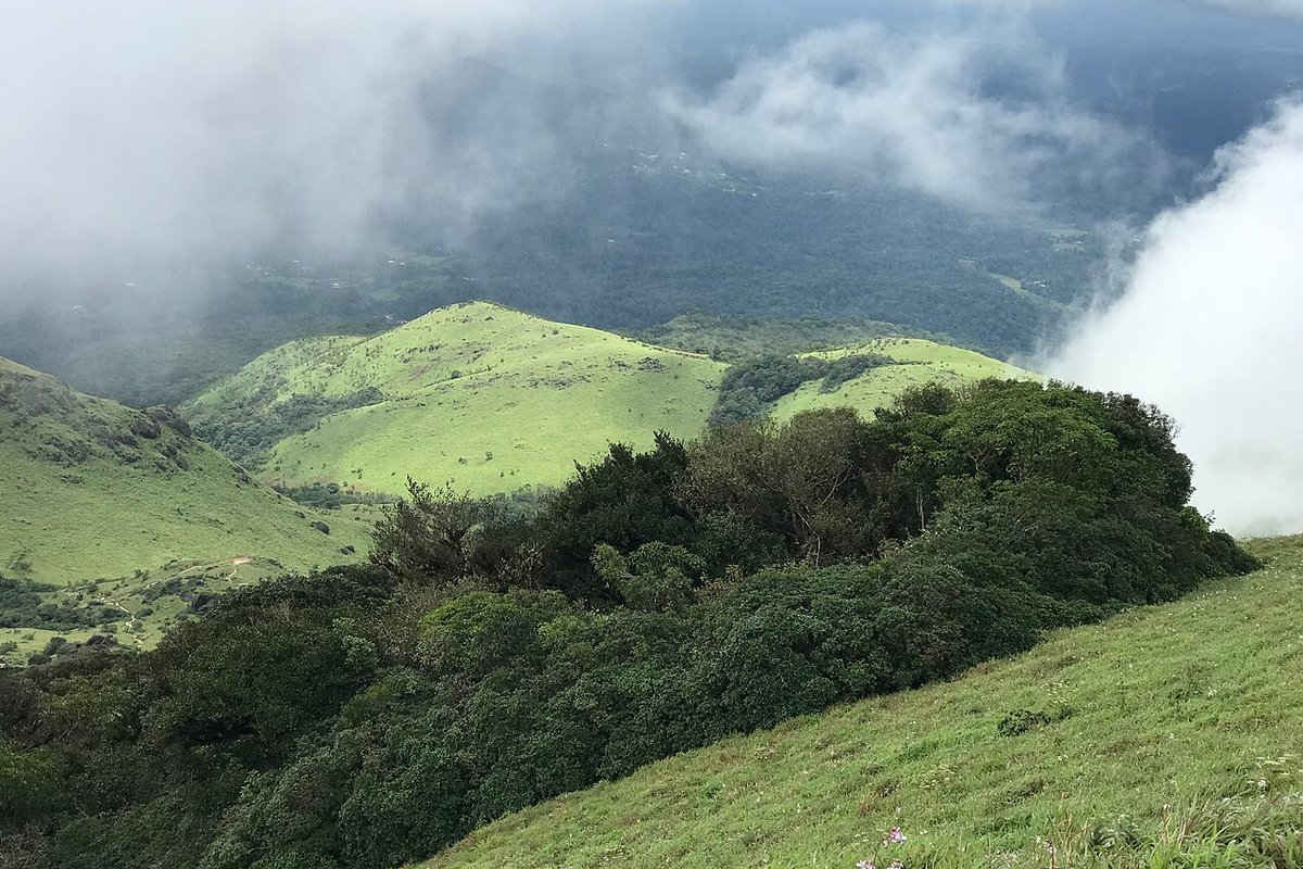 Thadiyandamol - India Travel Guide hero image